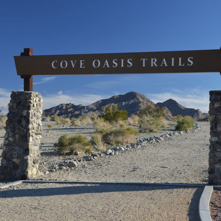 Hike to Bear Creek Oasis: Its Struggling to Survive