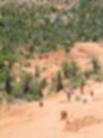 View from Cathedral Rock in Sedona