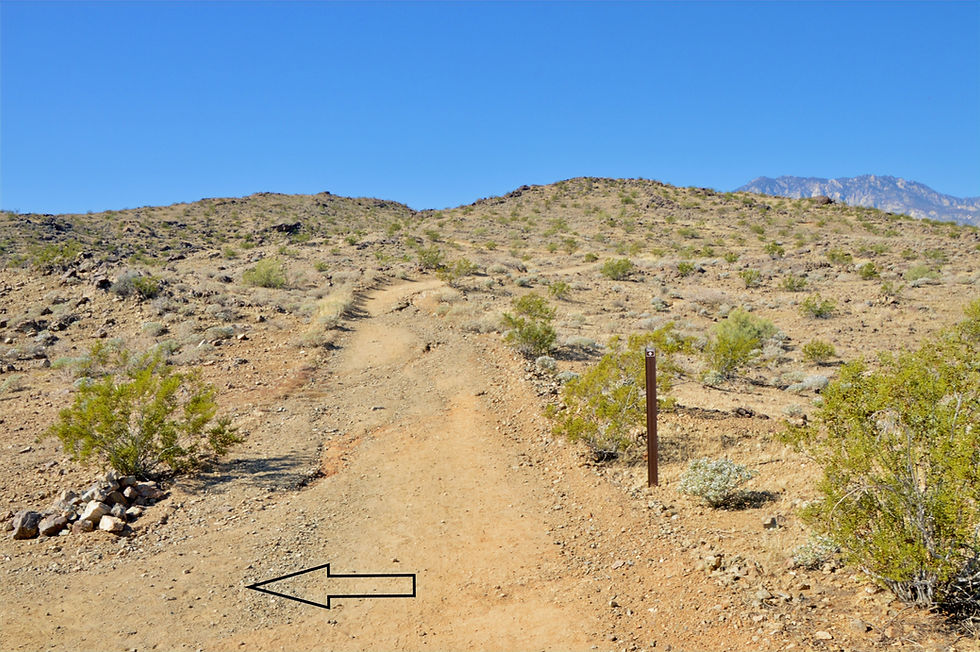 Taking a left to head down the trail leading to Jane Hoffbrau and Eagle Canyon