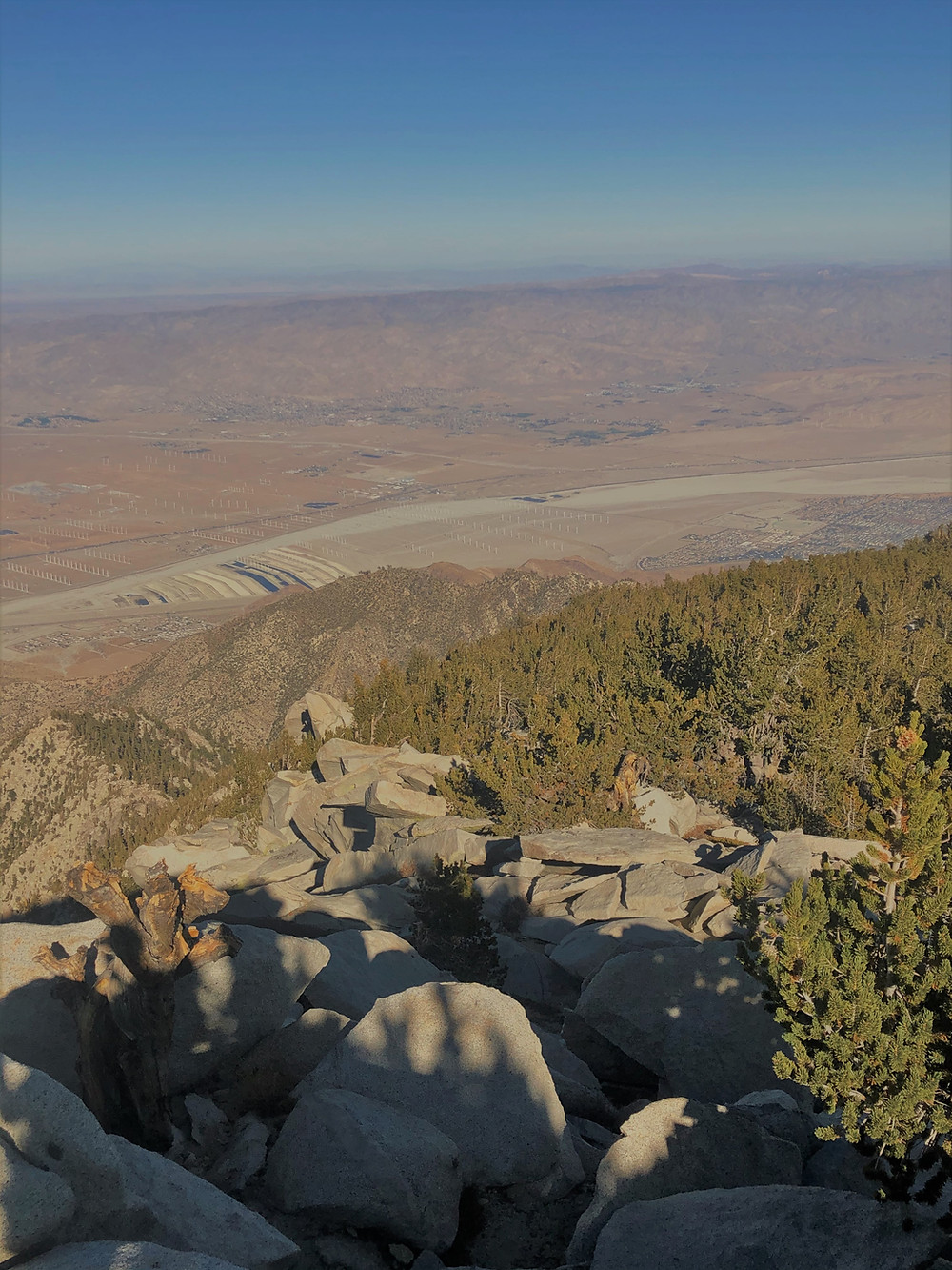 Panoramic views of Coachella Valley from the San Jacinto summit trail