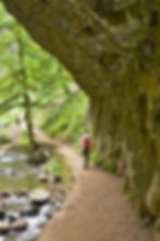 Basalt rock of the Dutchman Tunnel on the Multnomah to Wahkeena Trail Loop