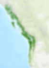Map showing where Sitka spruce grow along the Pacific Northwest Coast