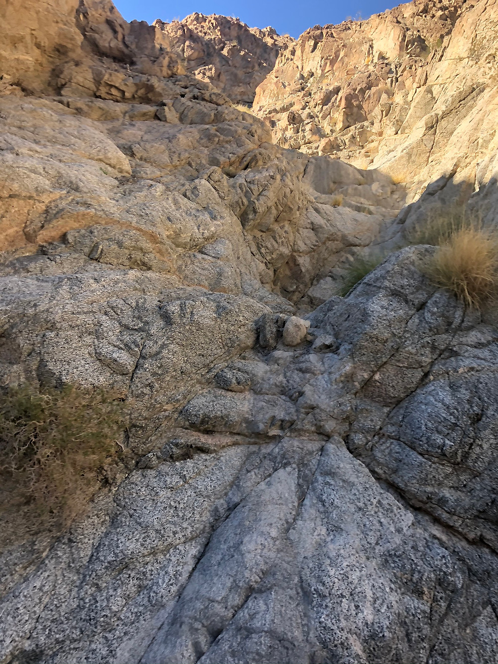 Steep sided canyon near entrance to Santa Rosa Mountains in La Quinta. Friends of the Desert Mountains