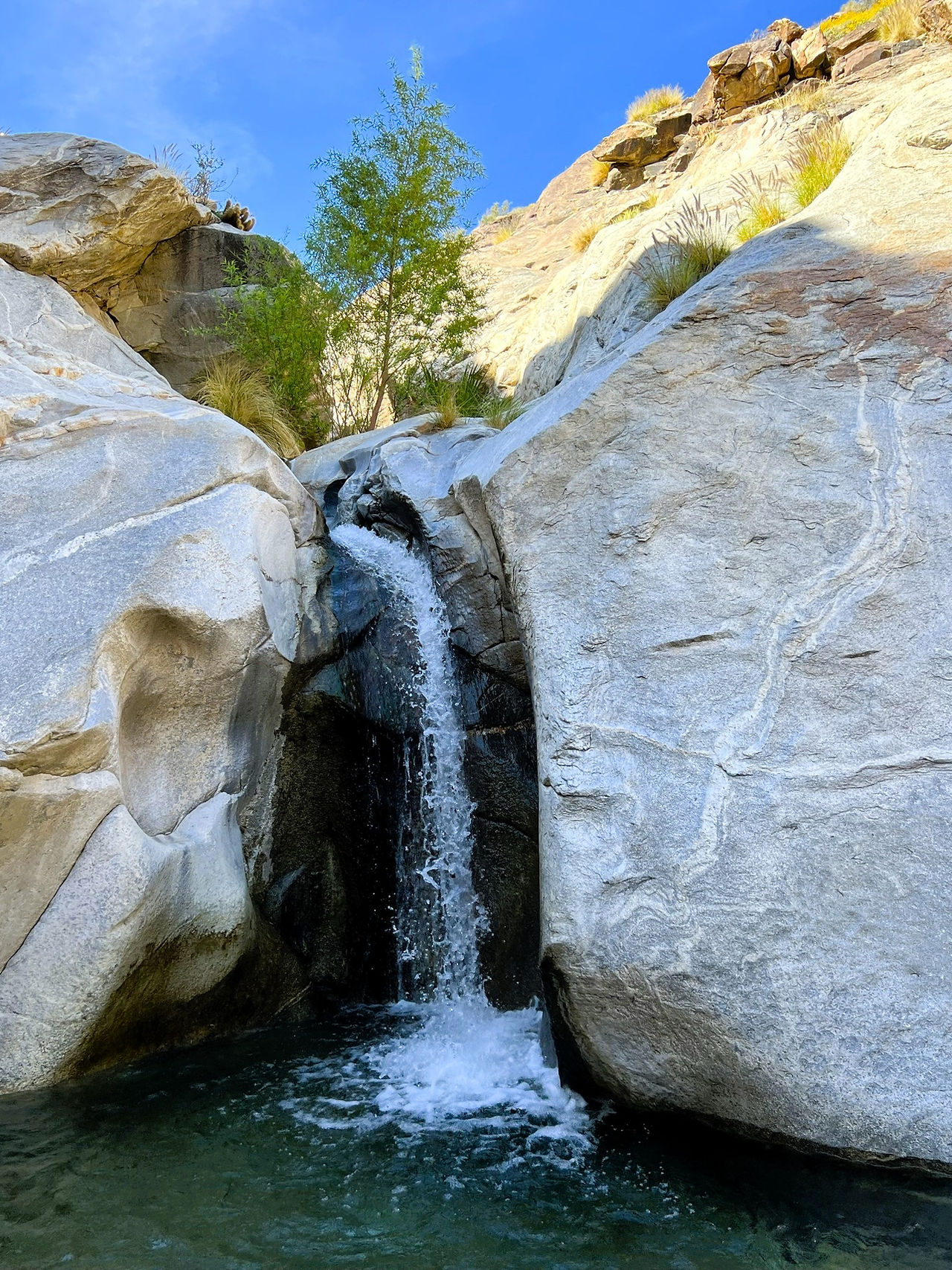 Seven sister waterfall st the emd of the Murray Canyon trail in Indian Canyons