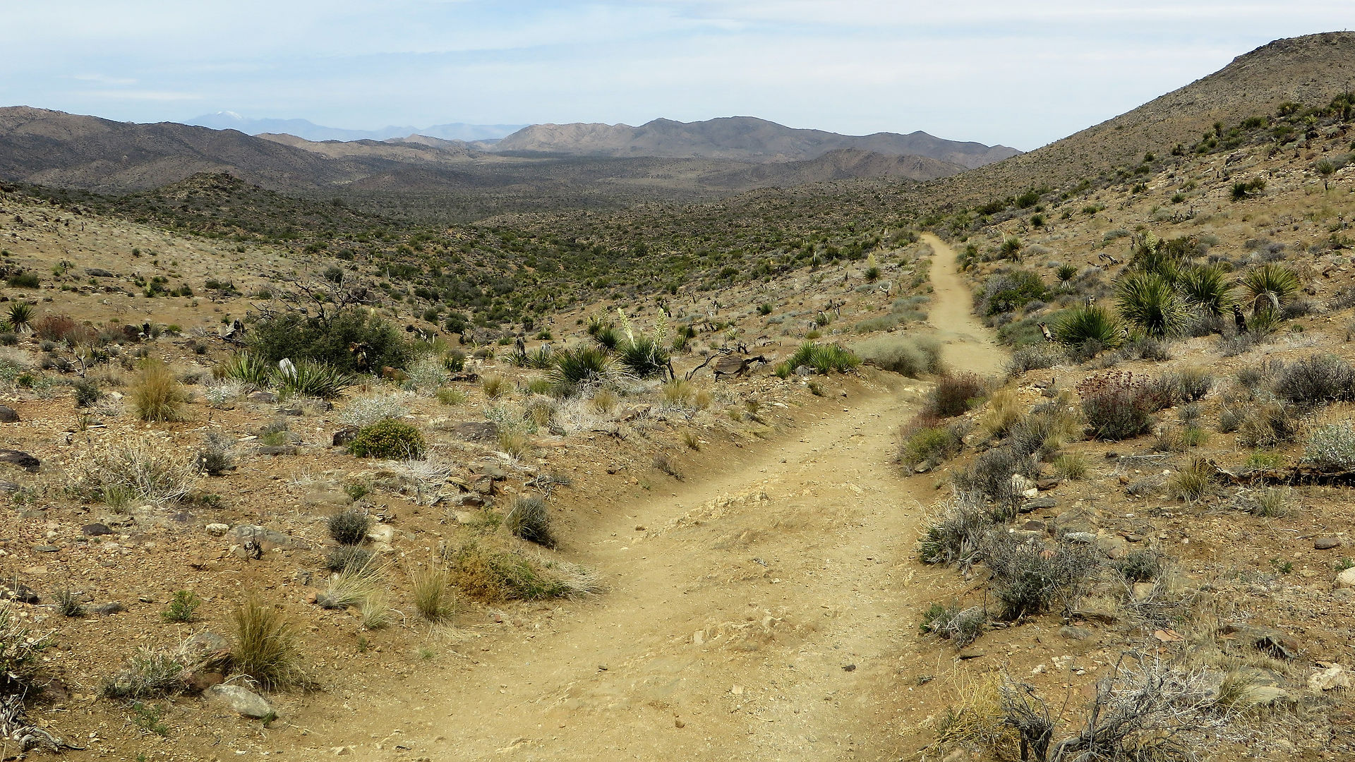 lost horse mine trail joshua tree national park