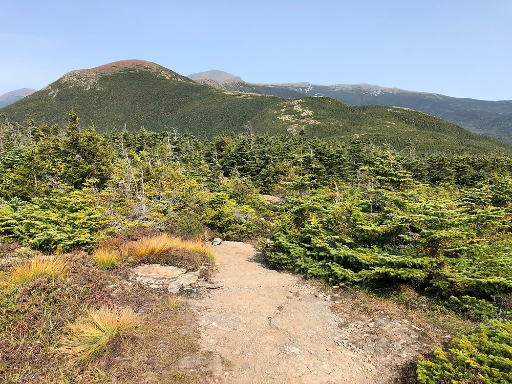 Trail leading to Mt Pierce summit