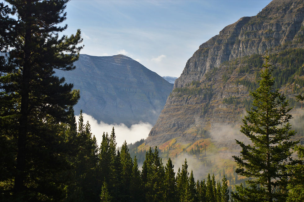 Early clouds still blanketed the valley floor. on the Iceberg Lake trail in Glacier National Park