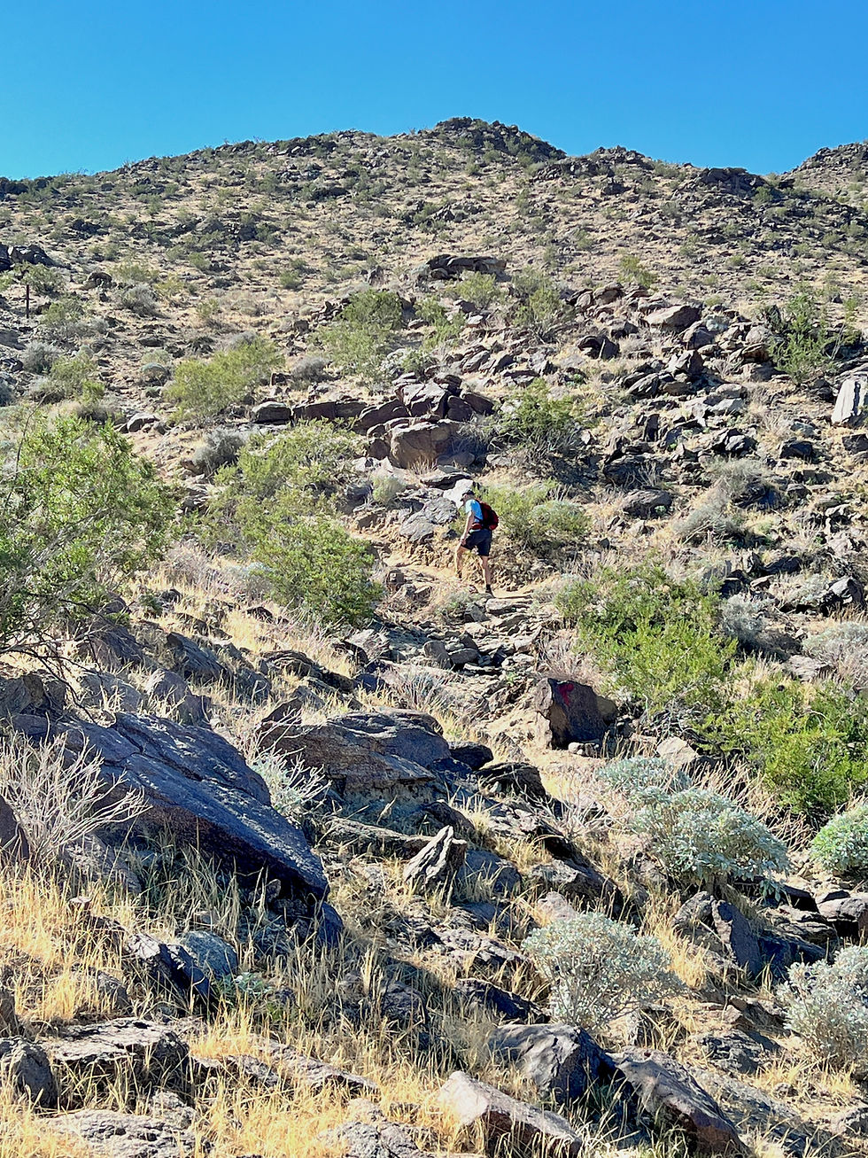 Metamorphic rock covered foothills in Palm Springs on Jane Hoffbrau and Eagle Canyon trail