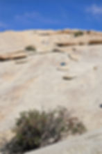 climbing slickrock in Joshua Tree National Park