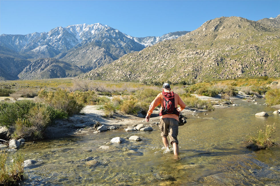 Hiker crossing Snow Creek on the the Vargas Palm Oasis trail