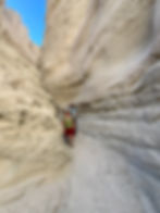 curved and sweeping walls in Skeleton Canyon