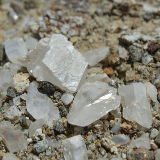 Anza-Borrego State Park: Calcite Mine and Palm Wash Loop