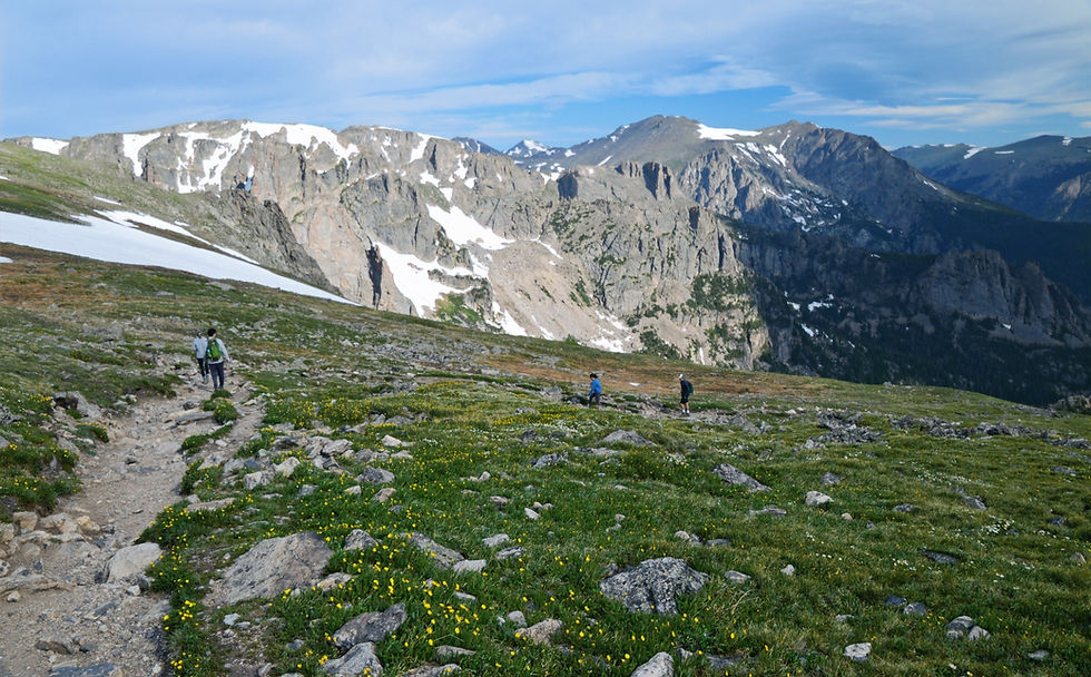 grass and wildflower covered gentle slope leading to Flattop Mountain and Hallett Peak