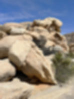 rock scrambling on Garretts Arch trail Joshua Tree