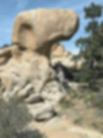 Snoopy rock formation Joshua Tree National Park