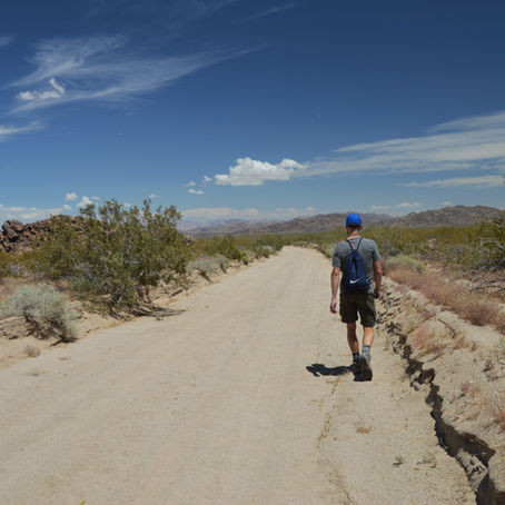 Hiking Black Eagle Mine Rd Trail in Joshua Tree
