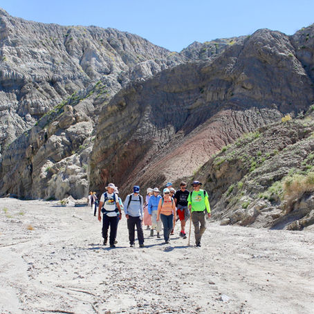 How Red Hill Vista and Skeleton Canyon Reveal the Geology of the Mecca Hills 