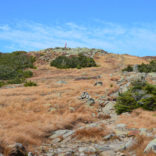 Hiking the Gentle Giant: Mt Moosilauke, NH