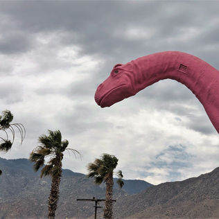 392 Days After Our 2020 COVID Departure: California Life in 2021