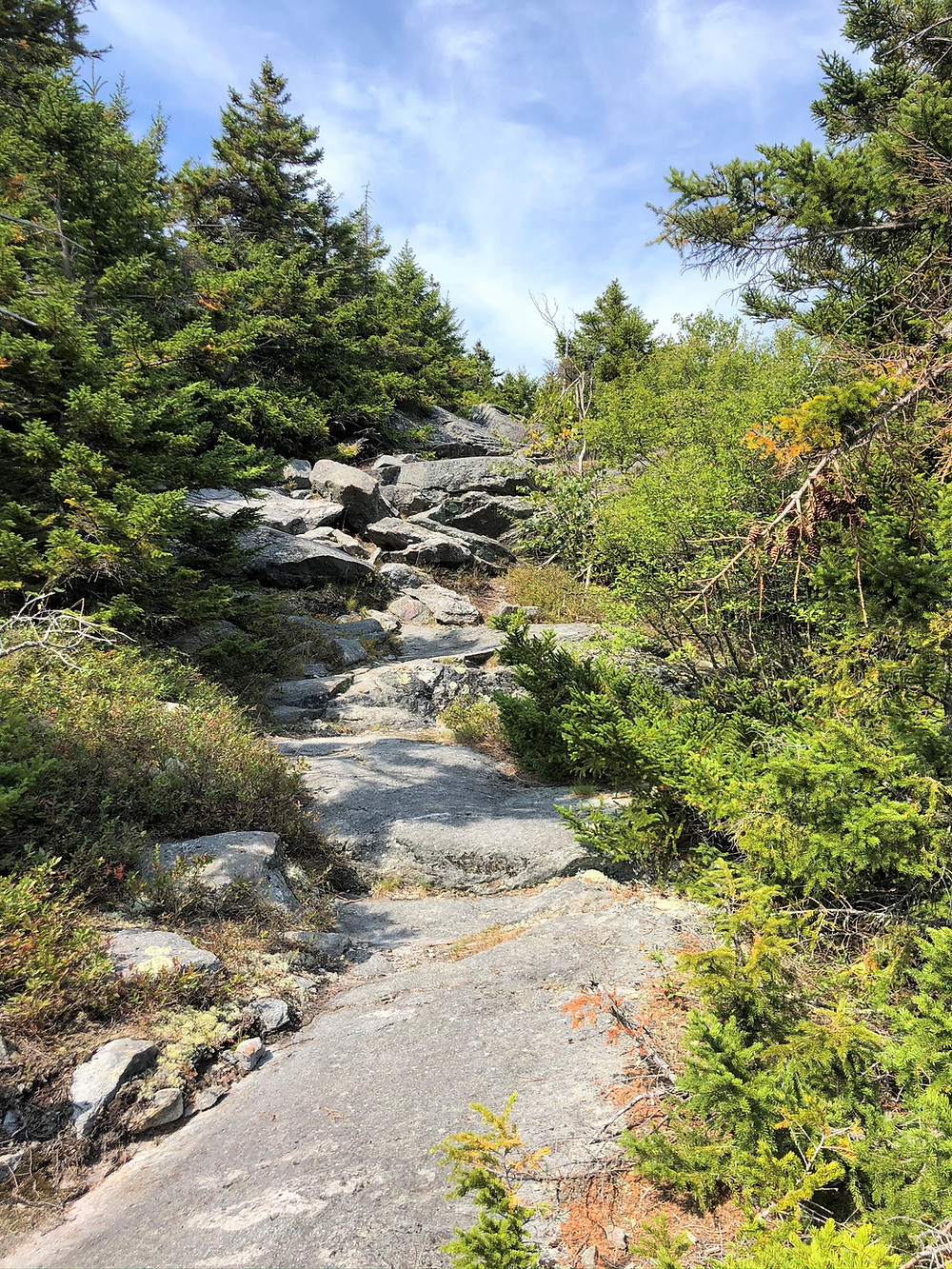 Mount Monadnock Cascade Link Trail