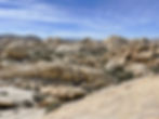 Joshua Tree national Park vista on Garretts Arch trail