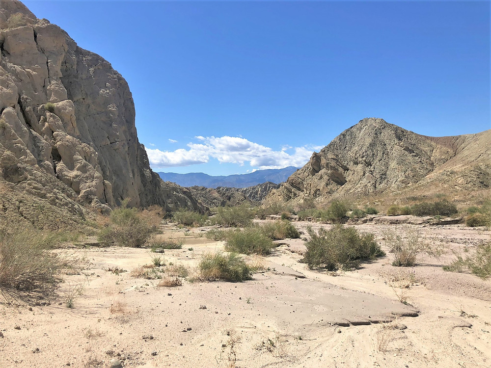 Wash running though Coffee Bean Canyon, Red Canyon