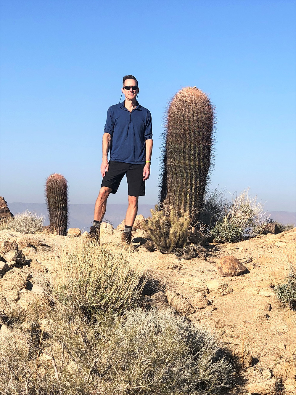 California barrel cactus along the Art Smith Trail in the Santa Rosa Mountains