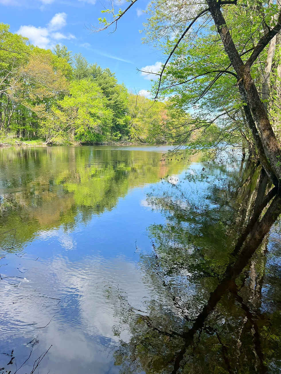 Nashua River viewed from Mine Falls walking paths