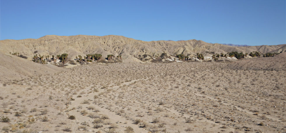View of Horseshoe Palms from the Hidden Palms Oasis trail