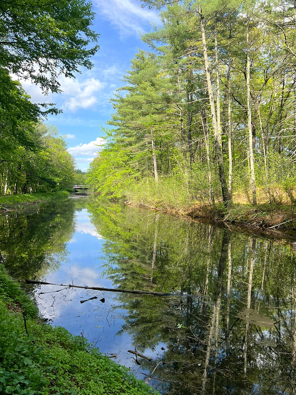 Water from Mill Pond enters directly into the 3-mile-long canal