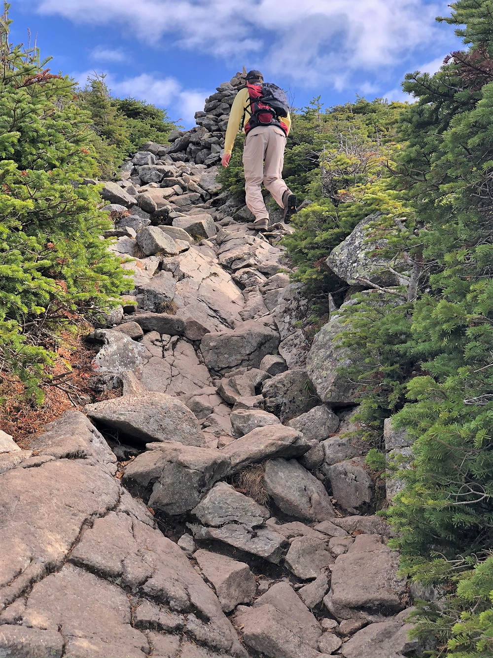 Mt Lafayette via Greenleaf Path. Eroded and rock covered trail in White Mountains of NH.