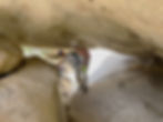 crawling under rock piles in Joshua Tree