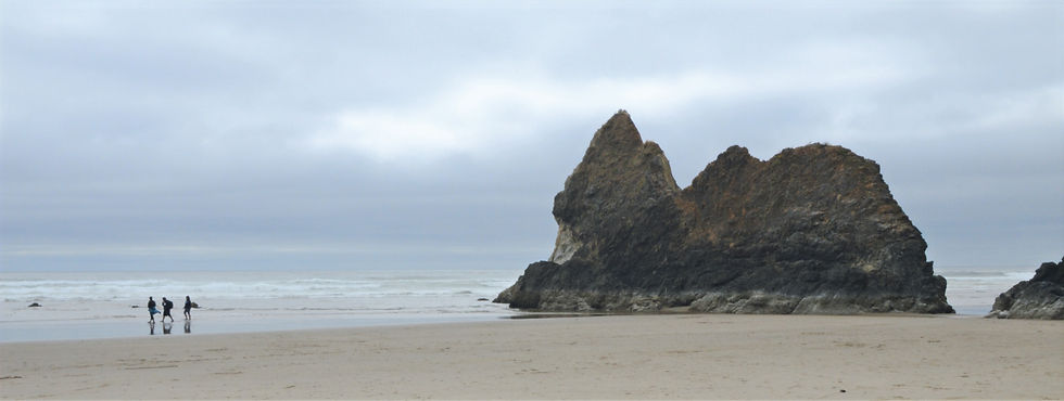 Lion Rock on Acadia Beach