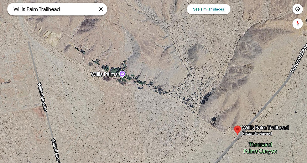 Aerial view of California Palms growing along the San Andreas Fault