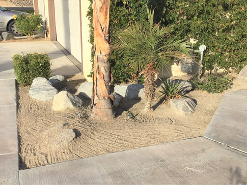 Garden in Palm Desert