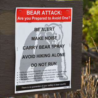Grand Teton NP: Struggling Through Snow in Paintbrush Canyon