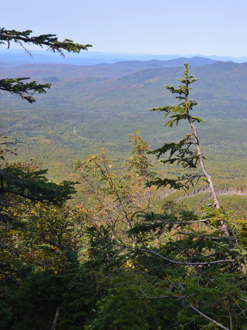View of White Mountains from Edmands Path