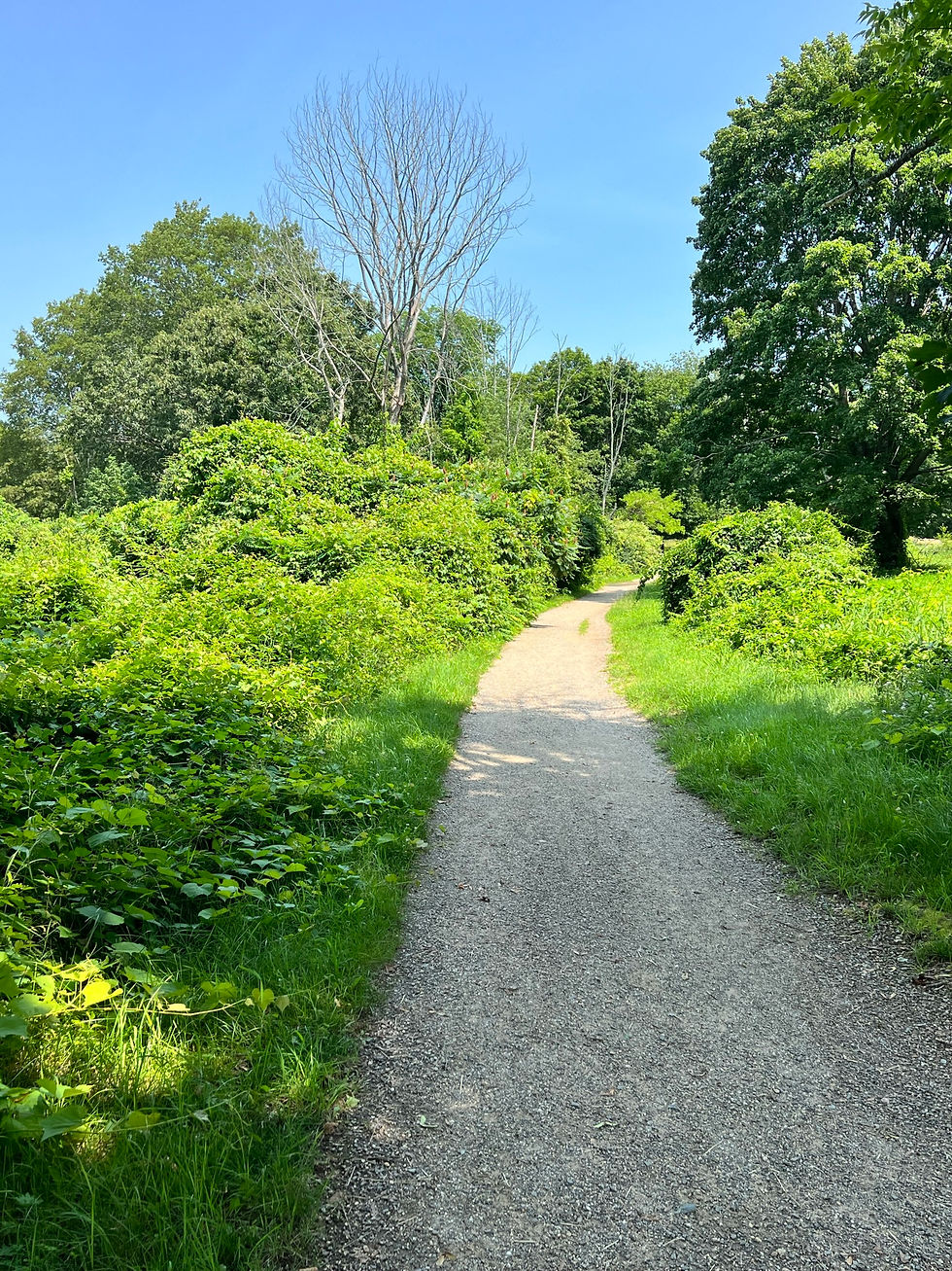 Brooks Hill fighting during American Revolutionary War