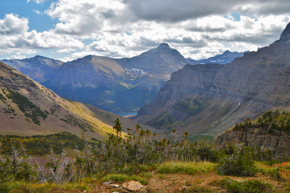 starting to hike below the tree line on the siyeh pass trail in glacier national park
