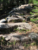 Rock stairs along the Gorge Brook trail leading to the Mt Moosilauke summit in NH. NH 4000 footer