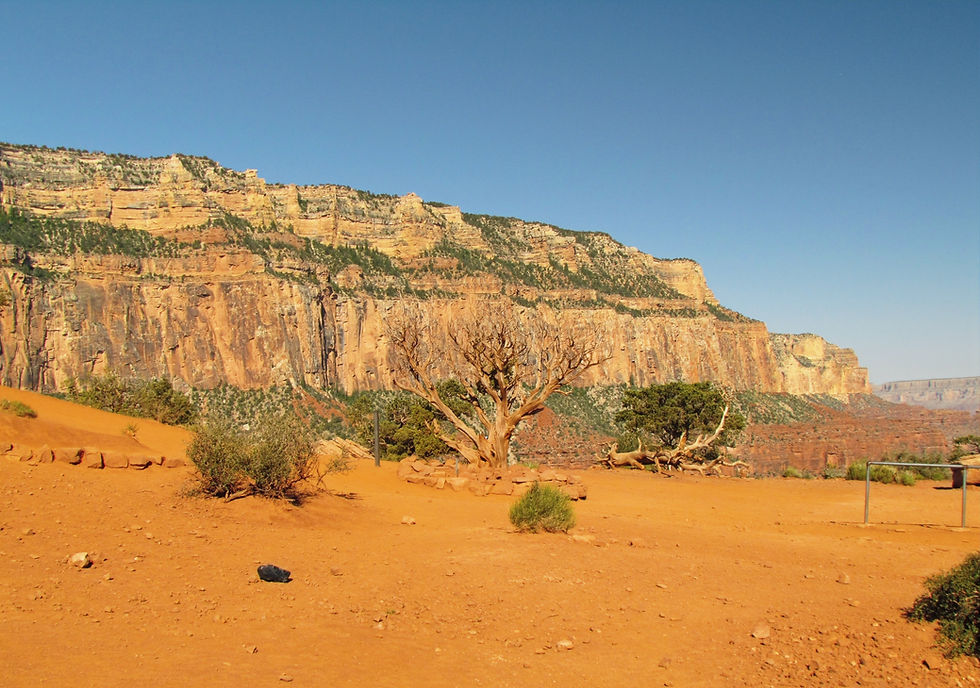Cedar Ridge on the South Kaibab Trail