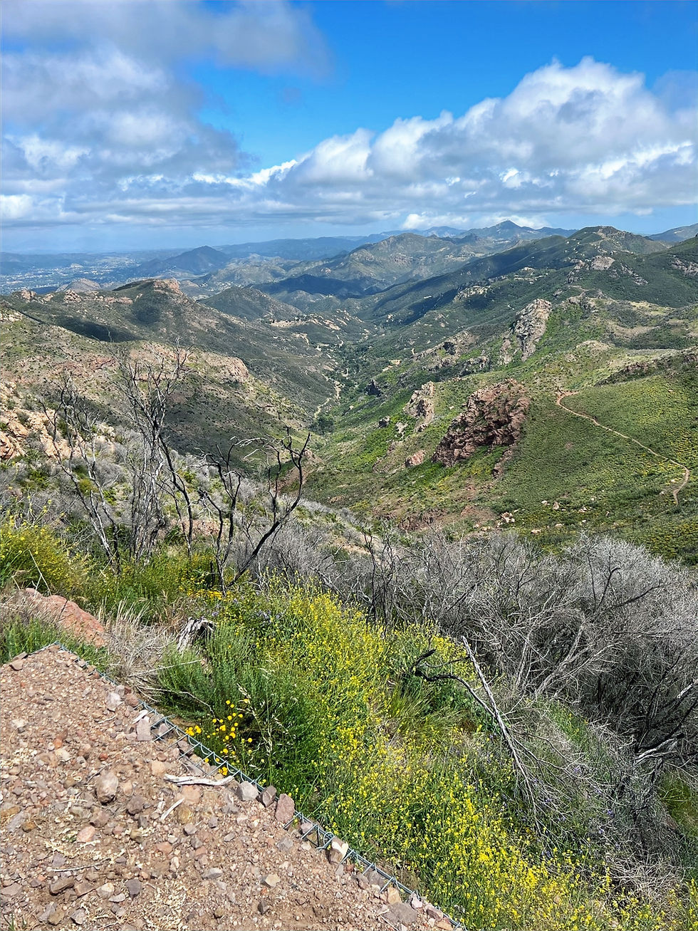 Sandstone Peak trail Santa Monica Mountains