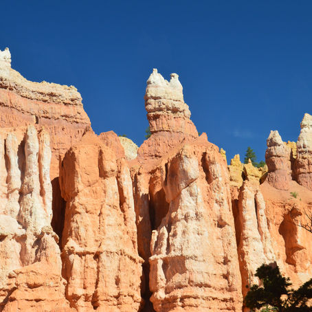 Bryce Canyon NP: Exploring Bryce and Nearby State Parks