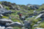 boulder field leading to Vargas Palms Oasis near Palm Springs