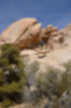 Garretts Arch in Joshua Tree national park