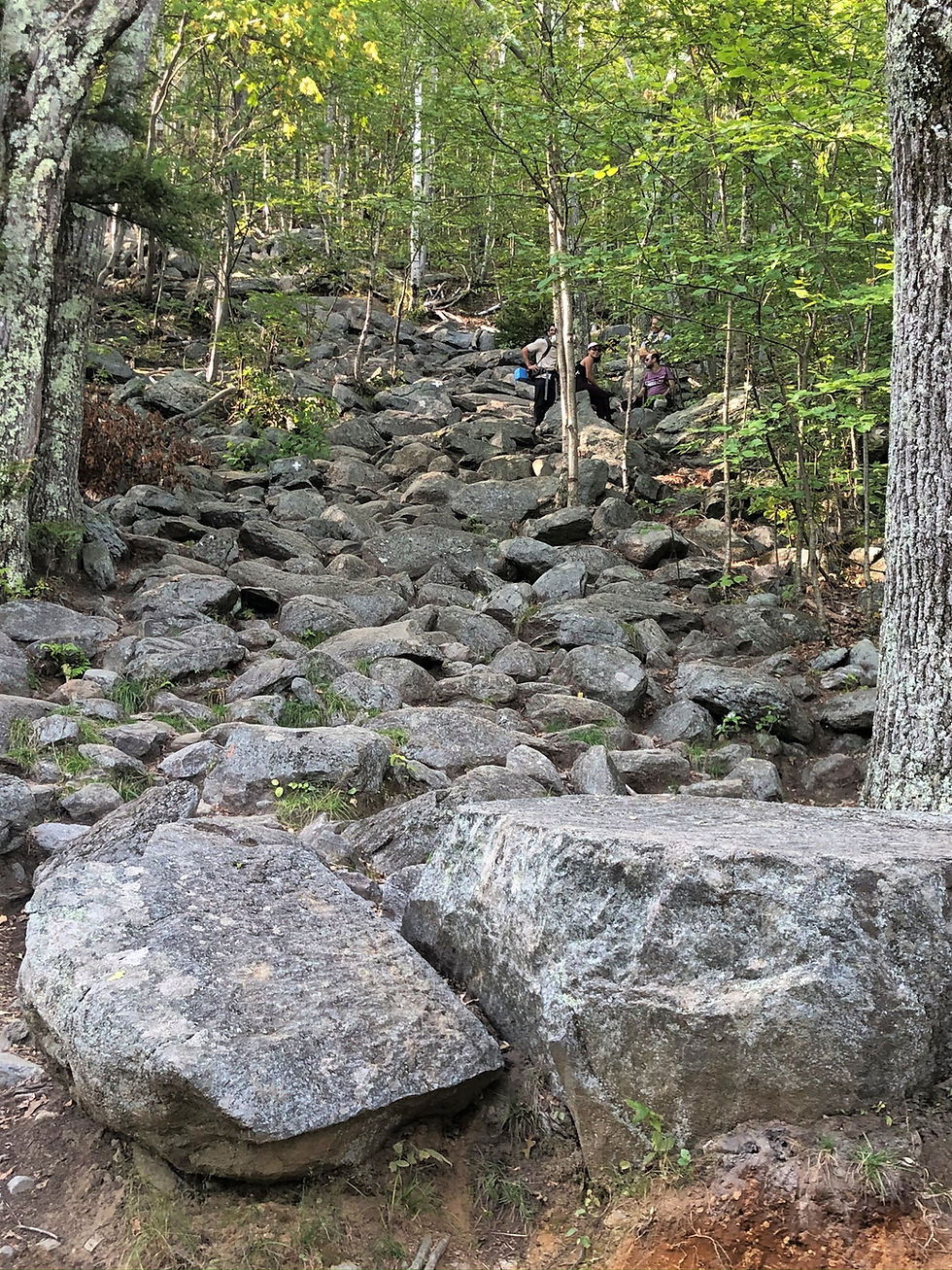 Mount Monadnock rocky and eroded White Dot Trail