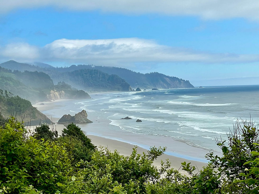 view of Arcadia Beach for overlook