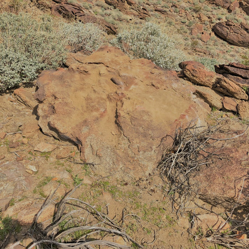 Spray paint carefully applied to hide graffiti on rock along hiking trail