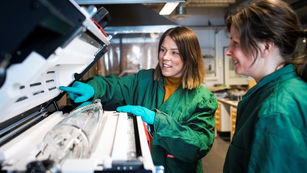 Lös morgondagens utmaningar – utbilda dig inom gruvor och naturresurser