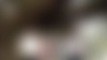 シベールの日曜日